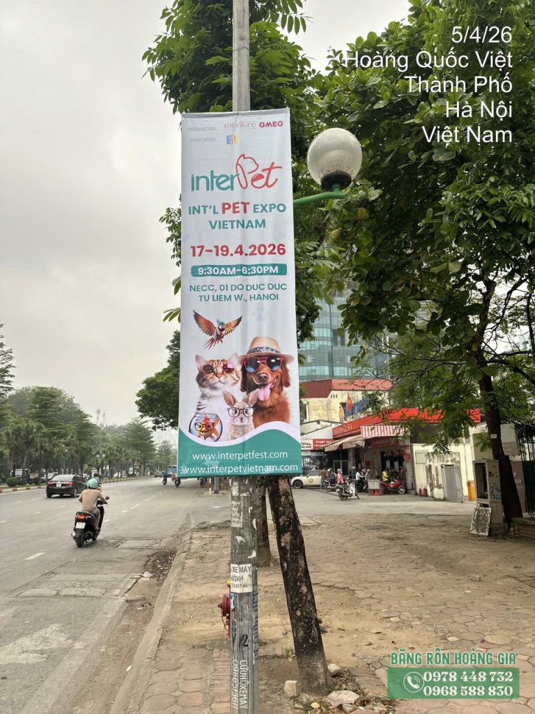 treo phướn thú cưng 