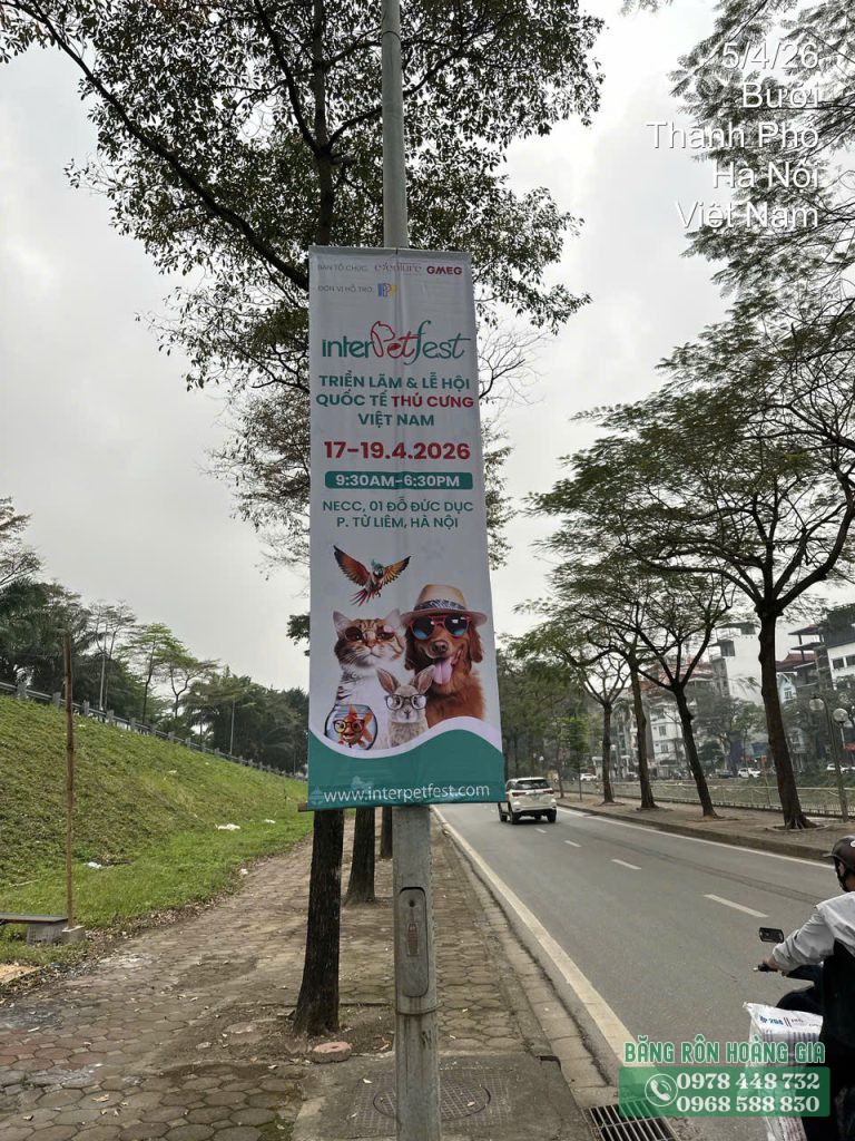 treo phướn thú cưng 