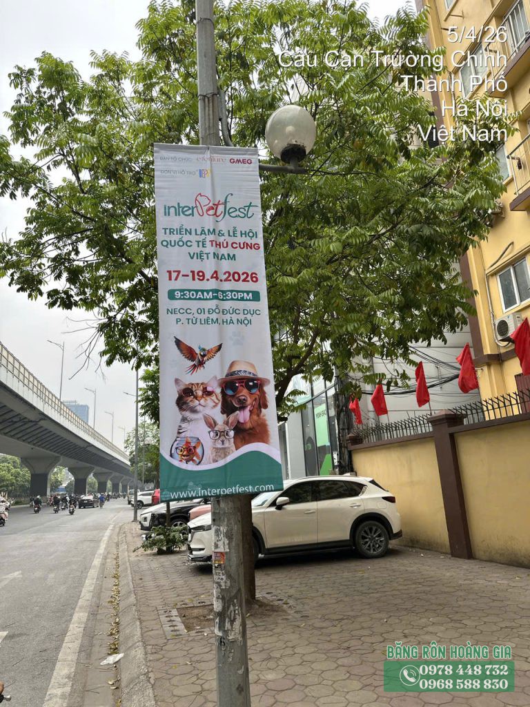 treo phướn thú cưng 